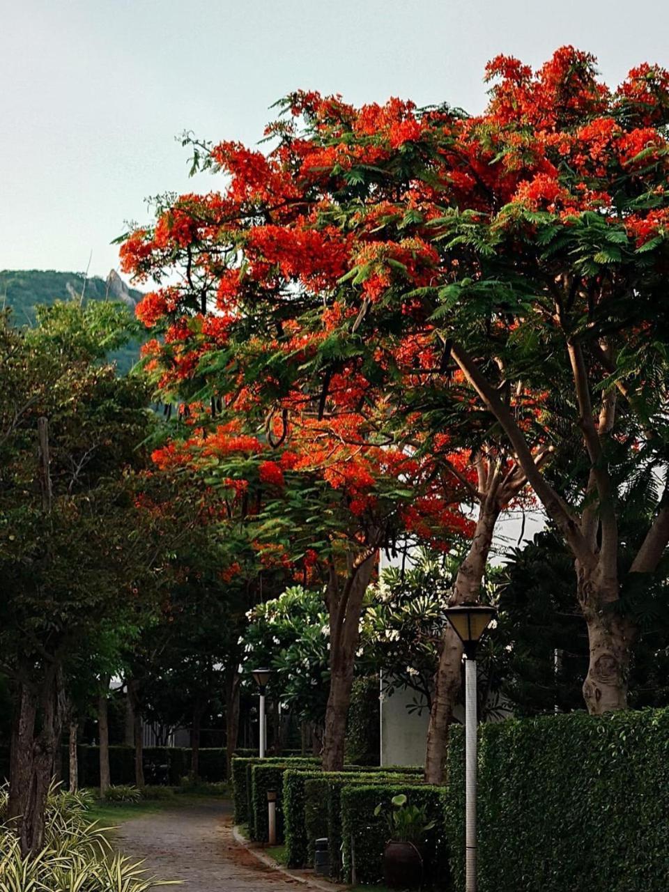 Oceanami Resort & Beach Club ลองไห่ ภายนอก รูปภาพ